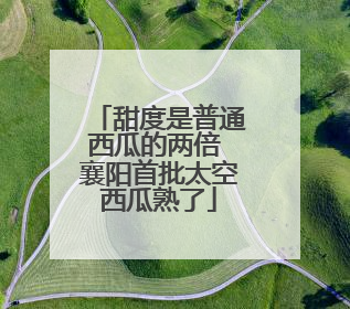 甜度是普通西瓜的两倍 襄阳首批太空西瓜熟了