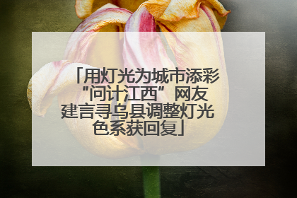 用灯光为城市添彩 “问计江西”网友建言寻乌县调整灯光色系获回复