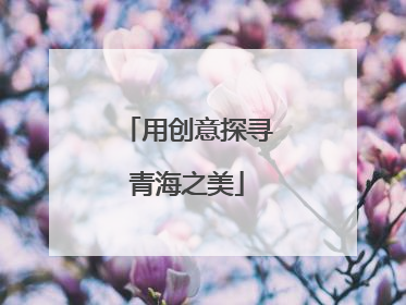 用创意探寻青海之美