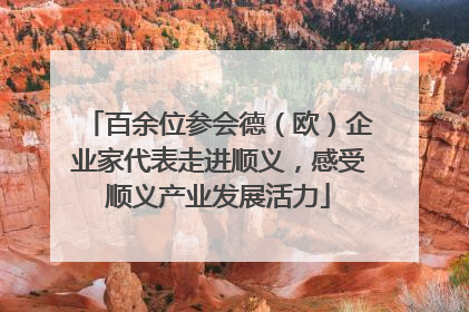 百余位参会德（欧）企业家代表走进顺义，感受顺义产业发展活力