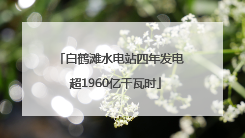 白鹤滩水电站四年发电超1960亿千瓦时