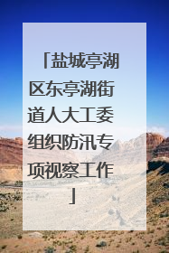 盐城亭湖区东亭湖街道人大工委组织防汛专项视察工作