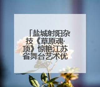 盐城射阳杂技《草原魂·顶》惊艳江苏省舞台艺术优秀小型作品调演