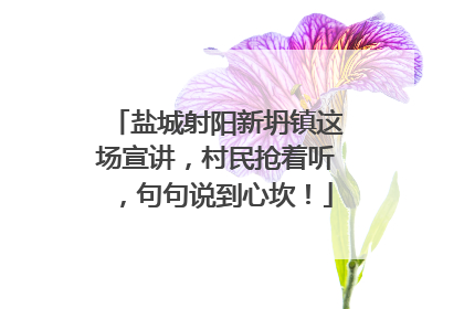 盐城射阳新坍镇这场宣讲，村民抢着听，句句说到心坎！