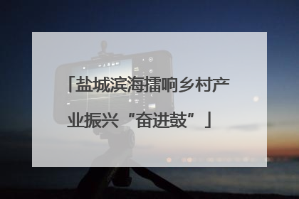 盐城滨海擂响乡村产业振兴“奋进鼓”