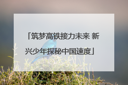 筑梦高铁接力未来 新兴少年探秘中国速度