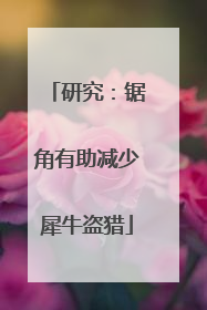 研究：锯角有助减少犀牛盗猎