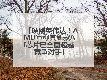 硬刚英伟达！AMD宣称其新款AI芯片已全面超越竞争对手