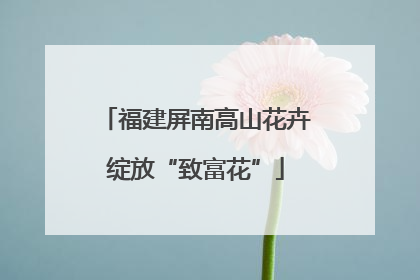 福建屏南高山花卉绽放“致富花”