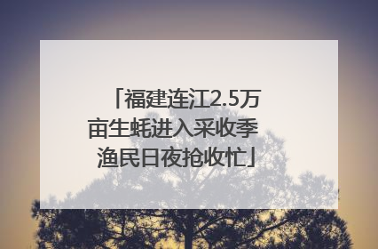 福建连江2.5万亩生蚝进入采收季 渔民日夜抢收忙
