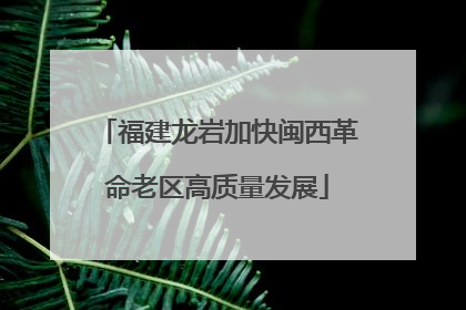 福建龙岩加快闽西革命老区高质量发展