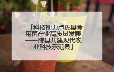 科技助力卢氏县食用菌产业高质量发展——院县共建现代农业科技示范县