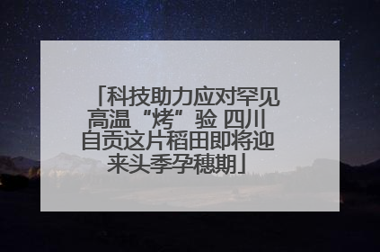 科技助力应对罕见高温“烤”验 四川自贡这片稻田即将迎来头季孕穗期