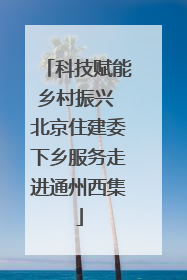 科技赋能乡村振兴 北京住建委下乡服务走进通州西集