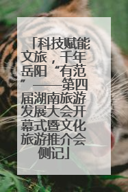 科技赋能文旅，千年岳阳“有范”——第四届湖南旅游发展大会开幕式暨文化旅游推介会侧记
