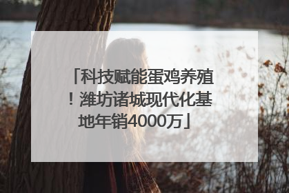 科技赋能蛋鸡养殖！潍坊诸城现代化基地年销4000万