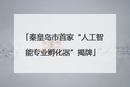 秦皇岛市首家“人工智能专业孵化器”揭牌