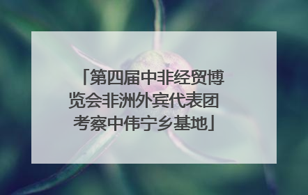 第四届中非经贸博览会非洲外宾代表团考察中伟宁乡基地