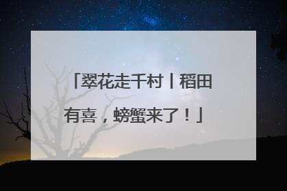 翠花走千村丨稻田有喜，螃蟹来了！