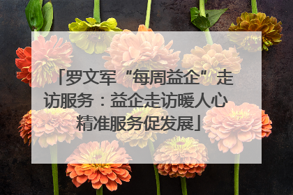 罗文军“每周益企”走访服务：益企走访暖人心 精准服务促发展