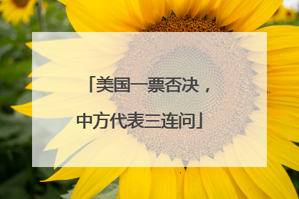 美国一票否决，中方代表三连问