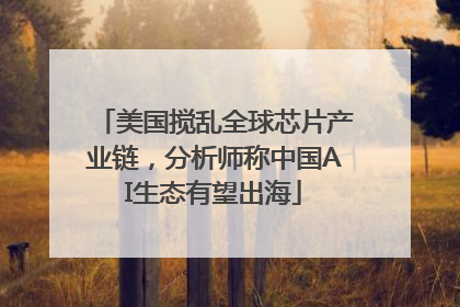 美国搅乱全球芯片产业链，分析师称中国AI生态有望出海