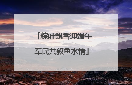 粽叶飘香迎端午 军民共叙鱼水情