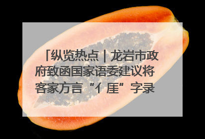 纵览热点｜龙岩市政府致函国家语委建议将客家方言“亻厓”字录入《新华字典》引发热议，当地回应