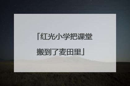 红光小学把课堂搬到了麦田里