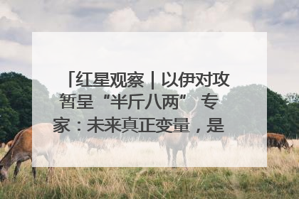 红星观察｜以伊对攻暂呈“半斤八两” 专家：未来真正变量，是美国是否进一步介入