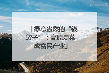 绿意盎然的“钱袋子”：高原夏菜成富民产业