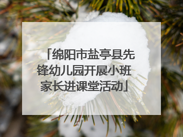 绵阳市盐亭县先锋幼儿园开展小班家长进课堂活动