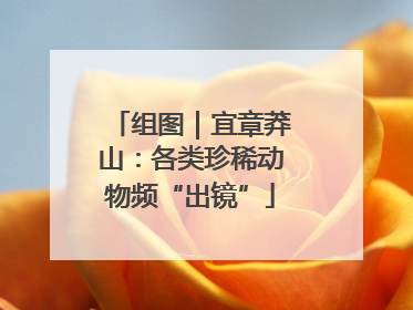 组图｜宜章莽山：各类珍稀动物频“出镜”