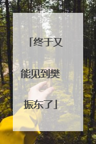 终于又能见到樊振东了