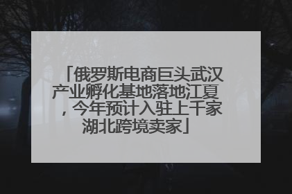 俄罗斯电商巨头武汉产业孵化基地落地江夏，今年预计入驻上千家湖北跨境卖家