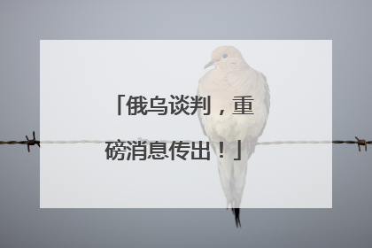 俄乌谈判，重磅消息传出！