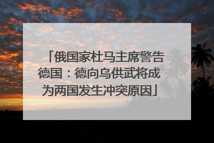 俄国家杜马主席警告德国：德向乌供武将成为两国发生冲突原因