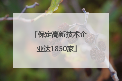 保定高新技术企业达1850家