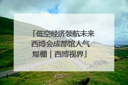 低空经济领航未来 西博会成都馆人气爆棚｜西博视界