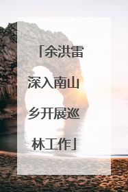 余洪雷深入南山乡开展巡林工作