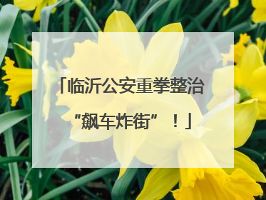 临沂公安重拳整治“飙车炸街”！