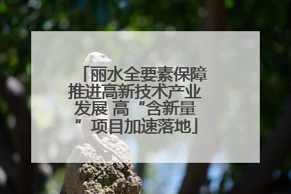 丽水全要素保障推进高新技术产业发展 高“含新量”项目加速落地