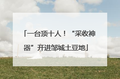 一台顶十人！“采收神器”开进邹城土豆地