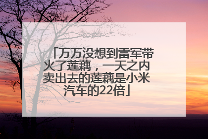 万万没想到雷军带火了莲藕，一天之内卖出去的莲藕是小米汽车的22倍