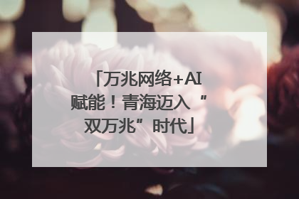 万兆网络+AI赋能！青海迈入“双万兆”时代