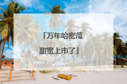 万年哈密瓜甜蜜上市了