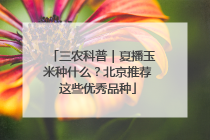 三农科普｜夏播玉米种什么？北京推荐这些优秀品种