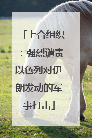 上合组织：强烈谴责以色列对伊朗发动的军事打击