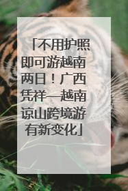 不用护照即可游越南两日！广西凭祥—越南谅山跨境游有新变化