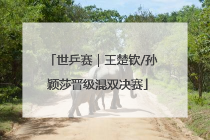 世乒赛｜王楚钦/孙颖莎晋级混双决赛
